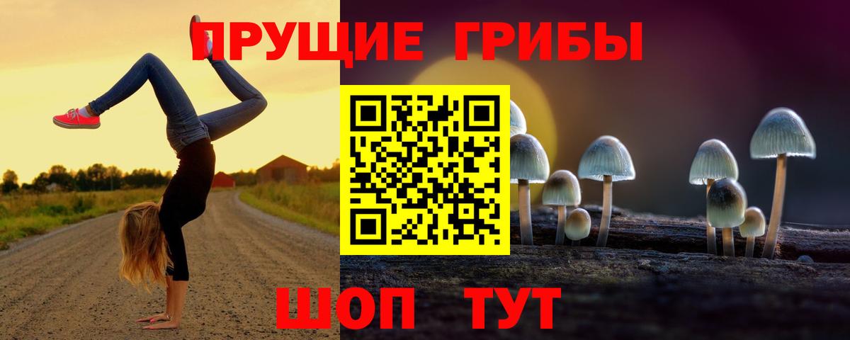 Псилоцибиновые грибы Cubensis Звенигород